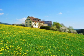 Ferienwohnung Kappauf / Petrik Friedenfels